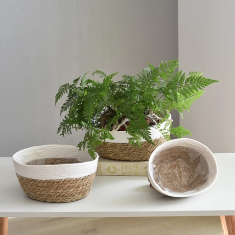 Handgemaakte Gevlochten Stro Bloempot Mand Noords Minimalistisch Ovale Opbergmand Met Waterdichte Voering Voor Planten Thuis