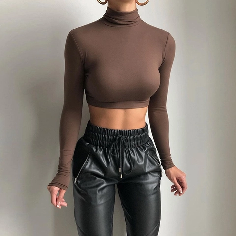 Γυναικείο Sexy Ψηλός Λαιμός Μακρυμάνικο Crop Top Slim Fit Μονόχρωμο Ελαστικό Base Layer T-Shirt Streetwear