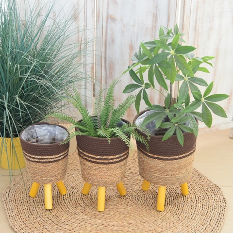 Supporto per Piante in Paglia Intrecciata Nordica Con Gambe in Legno Cesto per Fiori da Terra Fatto a Mano Con Rivestimento Impermeabile