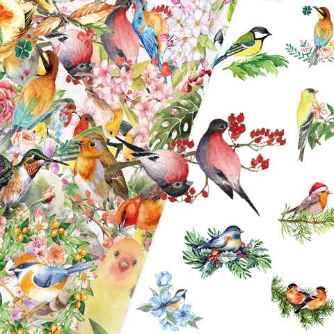 Aquarell Vogel PET Aufkleber Wasserdicht Dekorative Tier Decals Für DIY Sammelalbum Laptop Gepäck Journal Schreibwaren