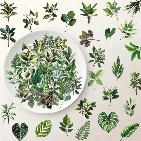 50Stück Transparente Grüne Blätter Aufkleber Wasserdicht PET Botanische Monstera Farn Decals Für Scrapbooking Journal Laptop Gitarre DIY Deko