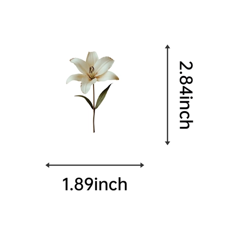 50 Stück Vintage Botanische Pflanzen Blumen Exemplar Transparente PET Aufkleber Wasserdicht DIY Scrapbooking Dekoratives Material