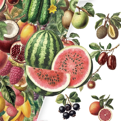 Adesivi in PET con Frutta Botanica Vintage Impermeabili Realistici Decorazione Scrapbooking per Agenda Fai da Te Articoli di Cancelleria