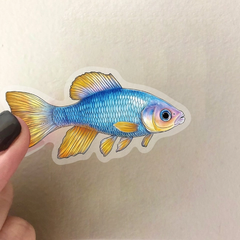 Kreative Realistische Fisch PET Aufkleber Transparent Wasserdicht Dekorative Aufkleber Für DIY Scrapbook Journal Laptop Album Schreibwaren Geschenk