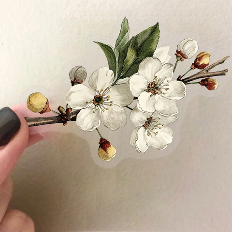 50 Stück Vintage Transparent PET Blumen Aufkleber Wasserdicht Botanische Pflanze Dekorative Sticker Für Scrapbooking DIY Journal Tagebuch Laptop Notizbuch