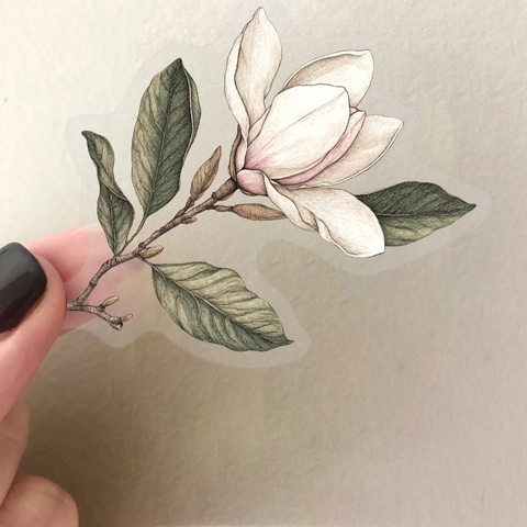 Adesivi in PET Floreali Vintage Confezione Trasparente Impermeabile Botanico Adesivi Decorativi per Journal Scrapbooking DIY