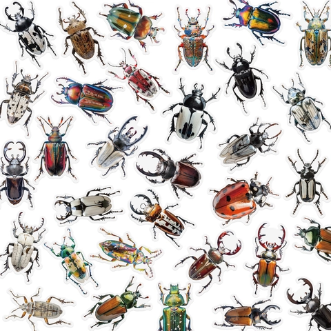 Realistic Beetle Insect Waterproof PET Stickers Colorful Bug Decals For Journaling Scrapbooking DIY Decoration Kids Gift