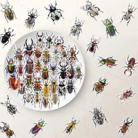 Realistic Beetle Insect Waterproof PET Stickers Colorful Bug Decals For Journaling Scrapbooking DIY Decoration Kids Gift