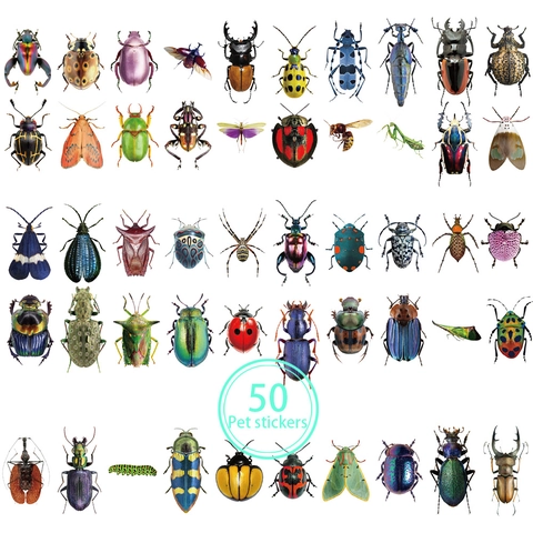 Realistic Nature Insect PET Sticker Pack Waterproof Butterfly Beetle Spider Educational Decals For DIY Scrapbook Journal Kids Reward