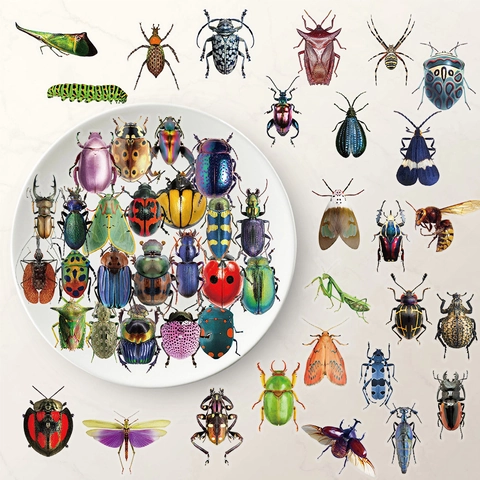 Realistic Nature Insect PET Sticker Pack Waterproof Butterfly Beetle Spider Educational Decals For DIY Scrapbook Journal Kids Reward