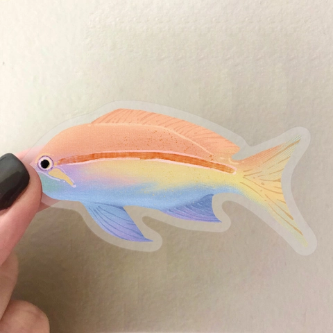 Autocollants en PET Transparents Poissons Tropicaux Colorés Décalcomanies Artistiques Créatives pour Bagages Journal Décoration de Bouteille d'Eau