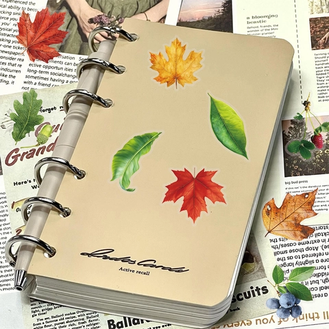 Realistische Botanische Blatt PET Aufkleber Natürliche Kollektion Wasserdicht Transparent Dekorative Aufkleber Für Scrapbooking DIY Journaling