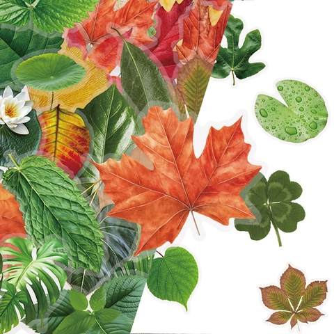 Realistische Botanische Blatt PET Aufkleber Natürliche Kollektion Wasserdicht Transparent Dekorative Aufkleber Für Scrapbooking DIY Journaling
