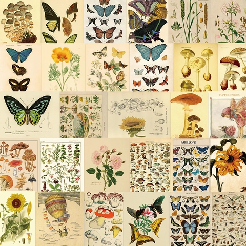 Autocollants Vintage en PVC Imperméable Flore Faune Papillon Champignon Spécimen Autocollants Décoratifs pour DIY Scrapbooking