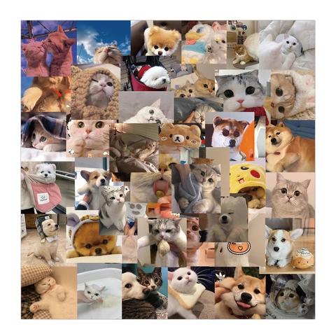 Mignons Autocollants Graffiti Mème Chat Chien Imperméable Vinyle PVC Pour Ordinateur Portable Valise Guitare Moto Skateboard Décoration DIY