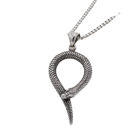 Vintage Stainless Steel Snake Pendant Personalized Ouroboros Necklace Pendant For Men Women Gothic Punk Jewelry Antique Silver