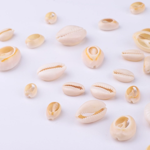 Natural Cowrie Shell Beads For Jewelry Making DIY Earrings Necklaces Wind Chime Dreamcatcher Hanging Craft Home Decoration Accessories