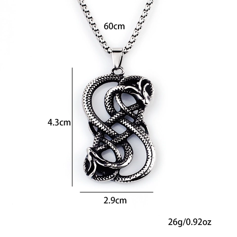 Collana con Ciondolo a Forma di Drago e Serpente in Acciaio Inossidabile Vintage Gioielli Punk Gotici Argento Antico per Uomo con Catena Box