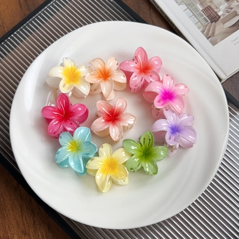 Elegant Flower Hair Claw Clips For Women Sweet Plastic Gradient Frangipani Hairpin For Beach Vacation Daily Styling Accessory