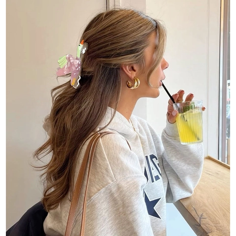 Pince à Cheveux Crabe en Acétate Oie Sauvage Dessin Animé Dégradé Translucide Accessoire de Coiffure pour Femmes