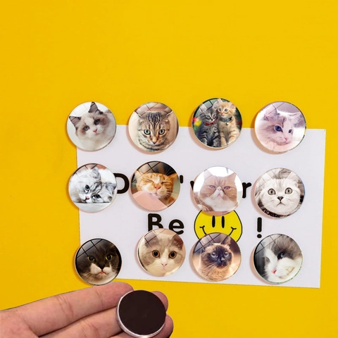 Calamita da Frigo in Resina Sintetica con Muso di Gatto Simpatico Rotondo Motivo Animale Adesivo Magnetico Decorativo per Casa