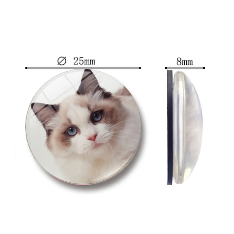 Calamita da Frigo in Resina Sintetica con Muso di Gatto Simpatico Rotondo Motivo Animale Adesivo Magnetico Decorativo per Casa
