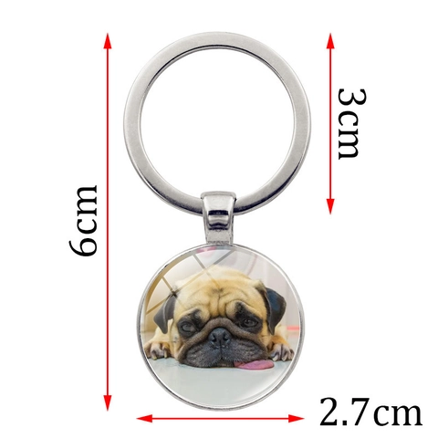 Simpatico Portachiavi in Metallo con Cane Carlino Ciondolo in Vetro Gemma del Tempo Tondo per Decorazione Borsa Regalo Amanti Animali Argento Bronzo