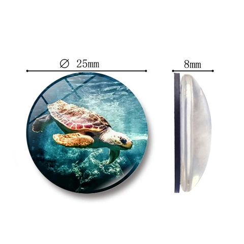 Meeresschildkröte Kristallglas Kühlschrankmagnet 25mm Rund Magnetisch Ozean Muster Dekorative Aufkleber Für Zuhause Küche Büro