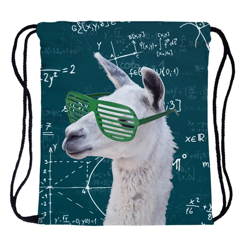 Unisex Polyester Kordelzug Rucksack Wasserdichter Sackpack Mit Lama Mathe Formeln Druck Für Fitnessstudio Reise Schule Sport Lagerung