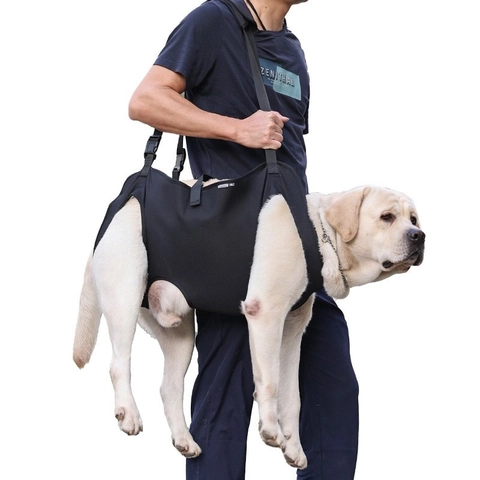 Dog Mobility Support Harness For Senior Injured Dogs Professional Pet Recovery Sling For Walking Climbing Assistance Black
