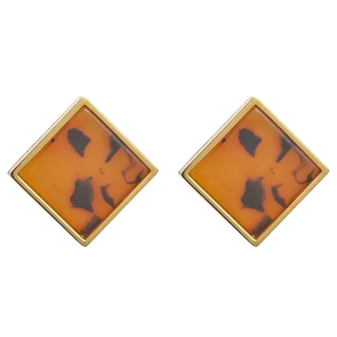 Vintage Leopardenmuster Edelstahl Ohrringe Geometrisch Quadratisch Rund Schildpatt Harz Inlay Stecker Schmuck Für Damen