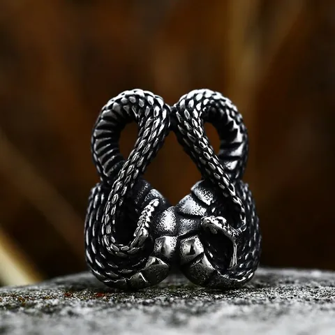 Vintage Gothic Punk Double Head Snake Ring For Men Stainless Steel Animal Biker Ring Personalized Statement Jewelry Accessory