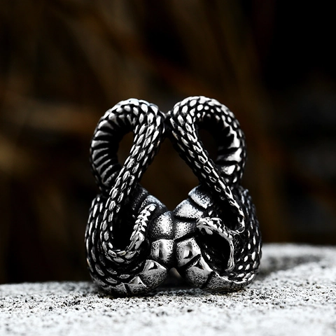 Vintage Gothic Punk Double Head Snake Ring For Men Stainless Steel Animal Biker Ring Personalized Statement Jewelry Accessory
