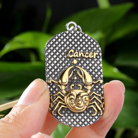 Colgante de Acero Inoxidable Retro Doce Signos del Zodiaco Solo Sin Cadena para Hombre Mujer Dog Tag Aries Leo Joyería
