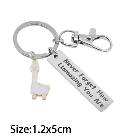 Portachiavi in Acciaio Inossidabile Alpaca Never Forget How Llamazing You Are Regalo Ispiratore Per Amici Compleanno Laurea