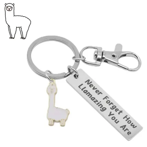 Portachiavi in Acciaio Inossidabile Alpaca Never Forget How Llamazing You Are Regalo Ispiratore Per Amici Compleanno Laurea