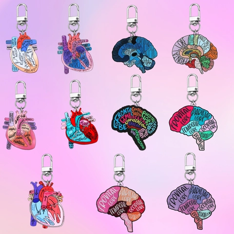 Nurse Theme Anatomical Heart Brain Diagram Keychain Medical Science Acrylic Key Ring For Nurses Doctors Students Gift