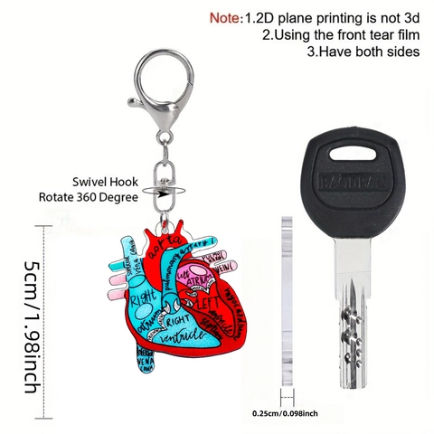 Anatomy Human Heart Keychain Acrylic Medical Nurse Student Gift 2D Flat Bag Charm Creative Science Accessory Jewelry