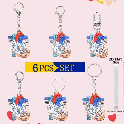 Acrylic Anatomical Human Heart Keychain 2D Flat Medical Science Science Gift Bag Charm For Nurse Doctor Student Accessory