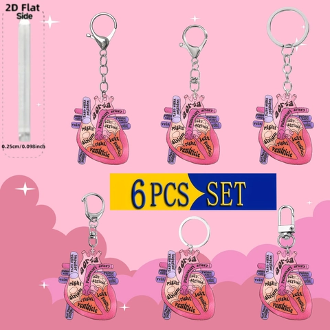 Acrylic Anatomical Human Heart Anatomy Keychain Medical Science Diagram Key Ring For Nurses Doctors Students Graduate Gift Bag Charm