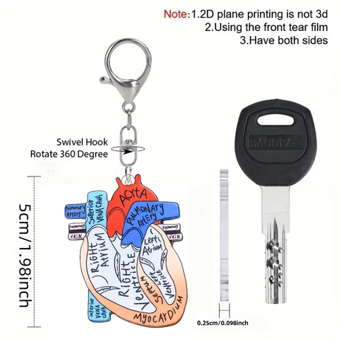 Acrylic Anatomical Human Heart Keychain 2D Flat Medical Science Science Gift Bag Charm For Nurse Doctor Student Accessory