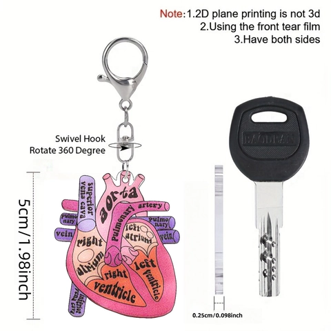 Acrylic Anatomical Human Heart Anatomy Keychain Medical Science Diagram Key Ring For Nurses Doctors Students Graduate Gift Bag Charm