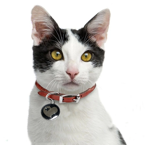 Personalized Stainless Steel Pet ID Tag Round Heart Pattern Glitter Dog Cat Identity Name Tag Anti-Lost Pendant Jewelry