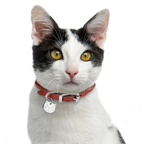 Haustier ID Anhänger Zinklegierung Katzenkopf Form Anti-Verlust Identität Namensschild Für Hunde Und Katzen Halsband Zubehör