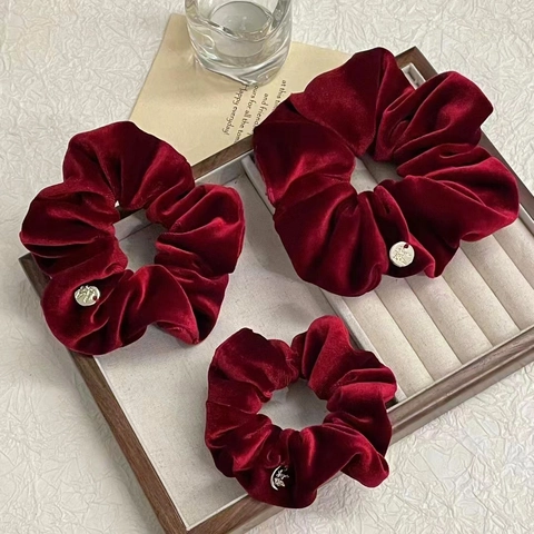 Vintage Fluwelen Scrunchies Voor Dames Retro Effen Kleur Haarelastiekjes Met Metalen Label Grote Middelgrote Kleine Haaraccessoires