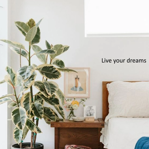 Live Your Dreams Motivational Quote Wall Sticker PVC Removable Decal For Bedroom Living Room Office Home Art Decor Black