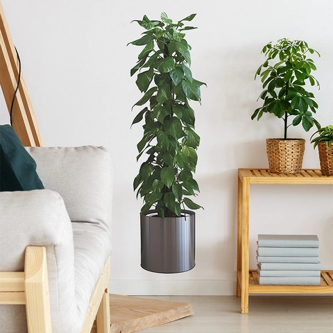 Adhesivo de Pared de Planta Verde en Maceta Simulado 3D PVC Autoadhesivo Calcomanía de Pared para Sala de Estar Dormitorio