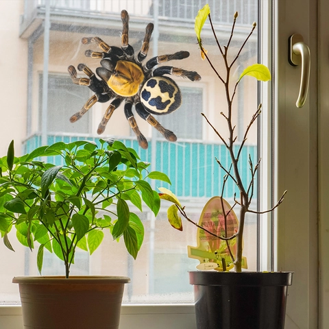 Pegatina De Ventana De Araña Realista PVC Adsorción Estática Decoración De Halloween Impermeable Extraíble Pegatina De Pared Vidrio
