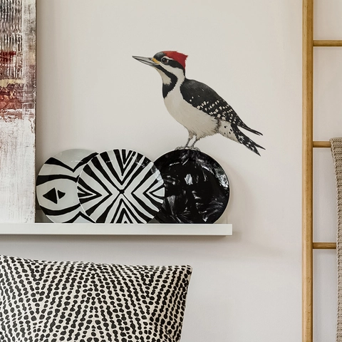 Specht Vogel Wandtattoo PVC Selbstklebend Abnehmbarer Aufkleber Für Kinderzimmer Wohnzimmer Modern Minimalistisch Dekoration Aufkleber