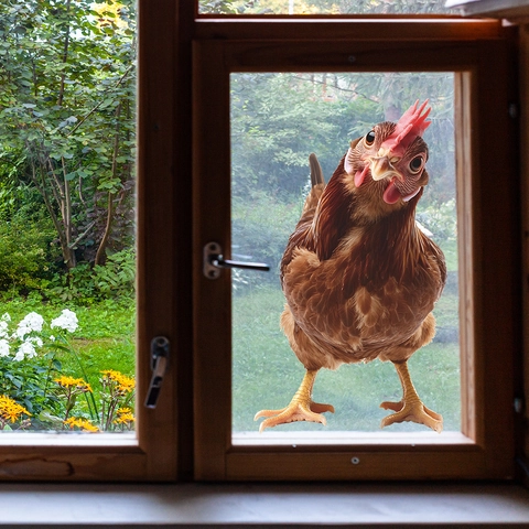 3D Realistische Haan Venstersticker PVC Verwijderbaar Dierenpatroon Muursticker Voor Huis Keuken Glas Decoratie